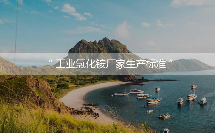 工業(yè)氯化銨廠家生產(chǎn)標(biāo)準(zhǔn)，生產(chǎn)過(guò)程進(jìn)行嚴(yán)密的監(jiān)控！